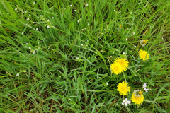 20210512_Detail