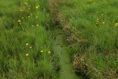 20210512_Grueppe1a