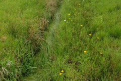 20210512_Grueppe1b