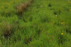 20210512_Grueppe2