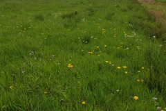 20210512_WD_SW02
