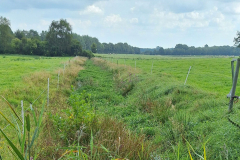 20240825_Kattbek_Bach