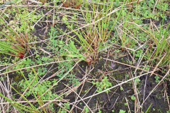 20240825_Kattbek_Detail1