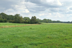 20240825_Kattbek_Gruenland