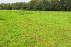 20240825_Kattbek_Testflaeche_schuetter