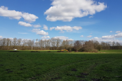20230404-Kattbek-Oberboden2