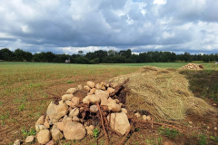 2025-09-05-Haufen-Sued