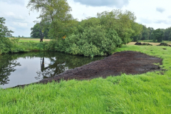 20240718_Teich-Uferabflachung1