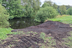 20240718_Teich-Uferabflachung2