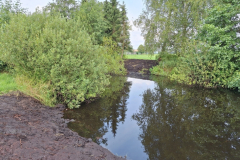 20240718_Teich-Uferabflachung3