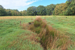 Moordorf1-Graben-20250829