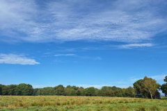 Moordorf1-Graugaense-20250829