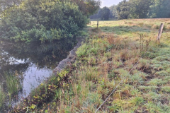 Moordorf1-Teich-20250829