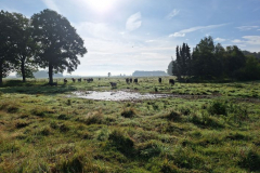 Moordorf1-Torfstich-20250829