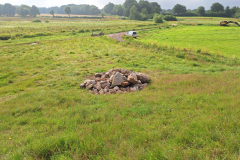 20250714_Reptilienhaufen3