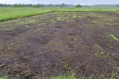 20250602_Testflaeche_Moor