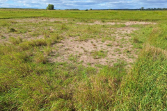 Mueba-Wisch-Testflaeche-Marsch-20250825
