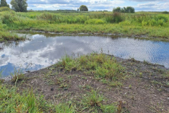 Mueba-Wisch-FK-Mitte-Vogelplatz-20250825