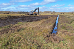 20250326_140509 Testfläche auf Niedermoorboden