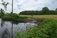 2025-06-02-Poy-Sornfiert02