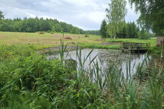 2025-06-02-Poy-Sornfiert03