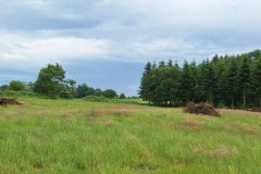 2025-06-02-Poy-Sornfiert05