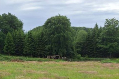 2025-06-02-Poy-Sornfiert06