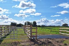 20250923_Fanggatter-Cattle-Grid